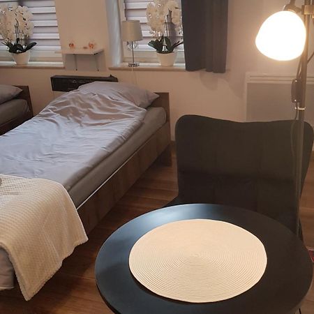 Komfortowy Apartament W Centrum Nowego Sacza Nowy Sącz エクステリア 写真