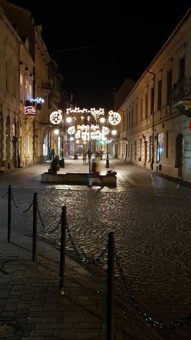 Komfortowy Apartament W Centrum Nowego Sacza Nowy Sącz エクステリア 写真